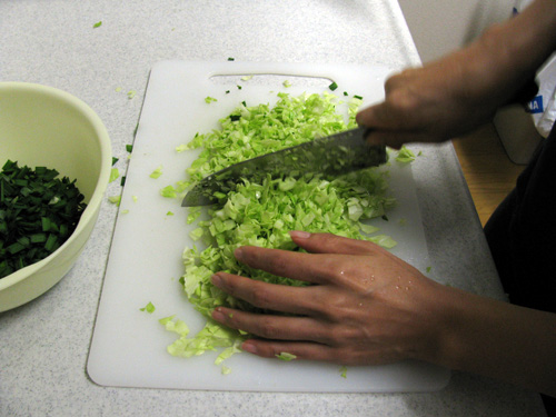 gyoza chopping cabbage